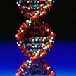 DNA3.jpg