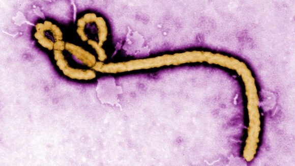 ebola1.jpg